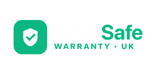 DriveSafe Logo